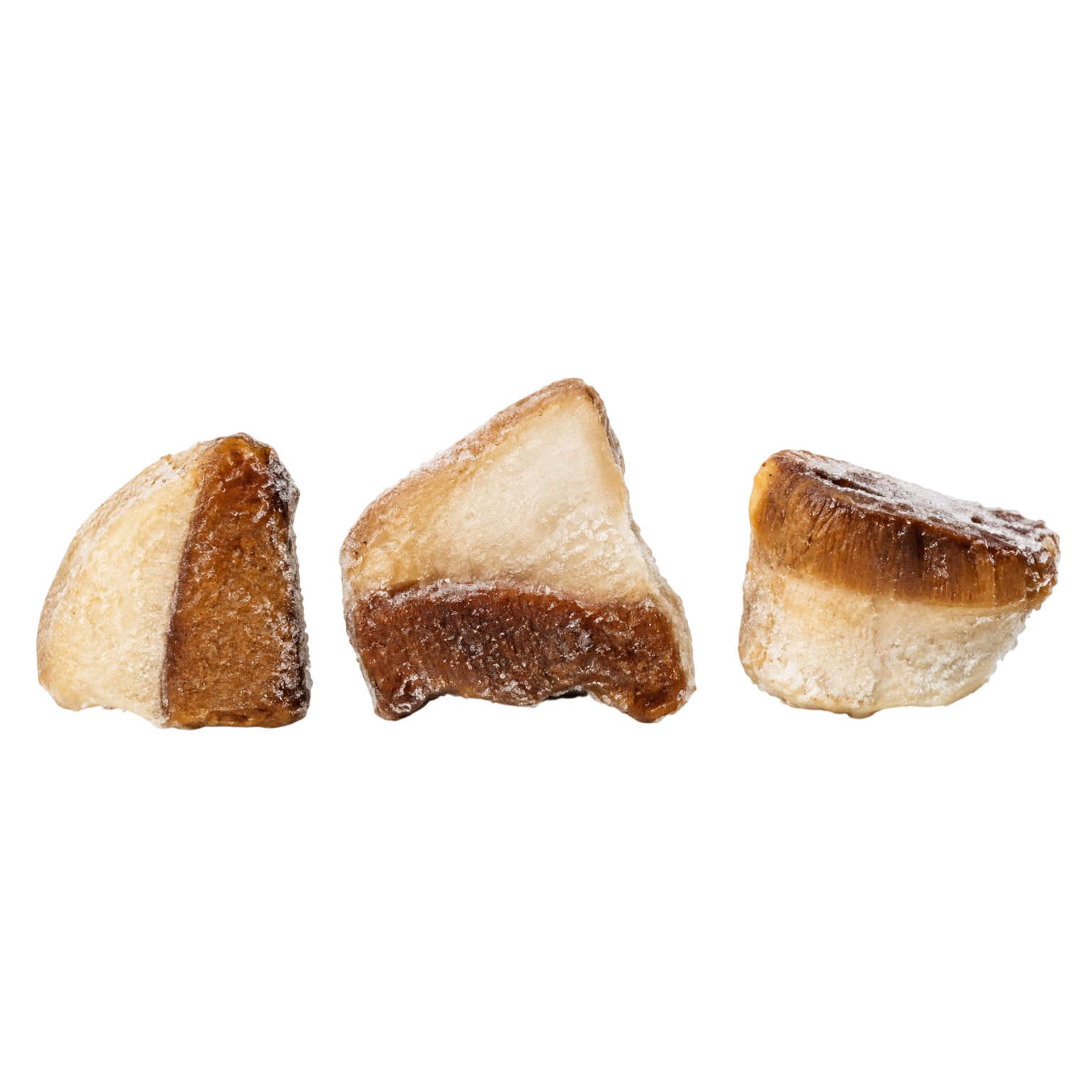 Boletus Luteus Pieces Pack Size: 5x2.2lbs