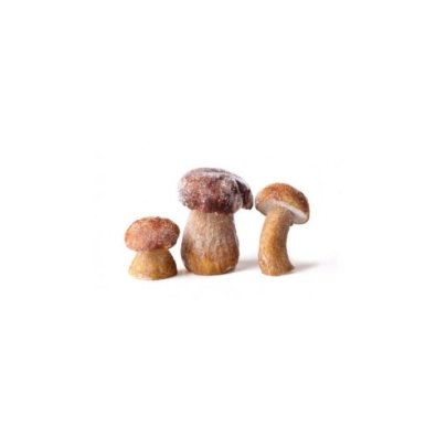 whole-porcini-mushroom---52001 (1)